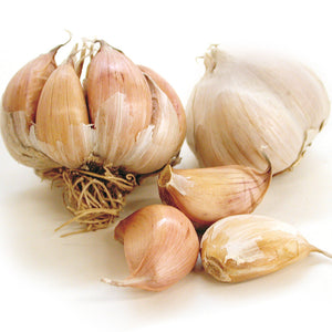 Chinese Pink Garlic