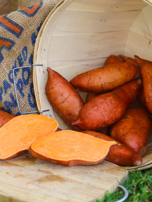 A basket filled with elongated, reddish-skinned Beauregard sweet potatoes on a wooden surface with a piece cut out to reveal the orange flesh of the Beauregard. The basket is placed next to a burlap bag.