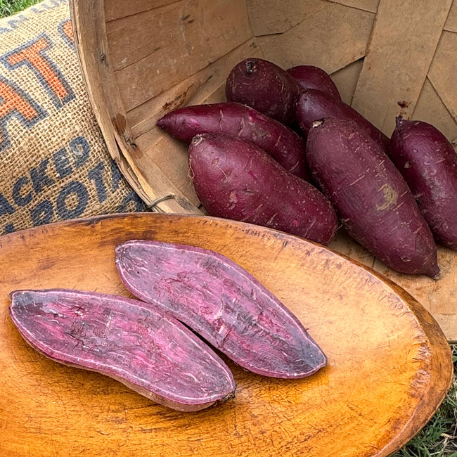 A wooden basket filled with whole purple majesty sweet potatoes, with a few sweet potatoes cut in half and laid on a wooden platter.