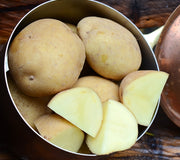 YUKON GOLD-POTATO