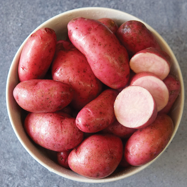 RED THUMB-POTATO