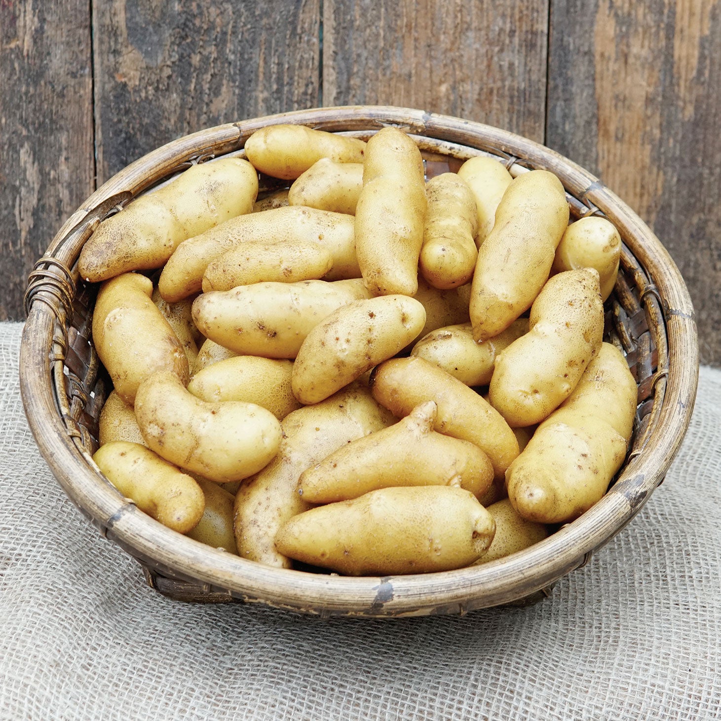 Austrian Crescent Potato Mini Tuber