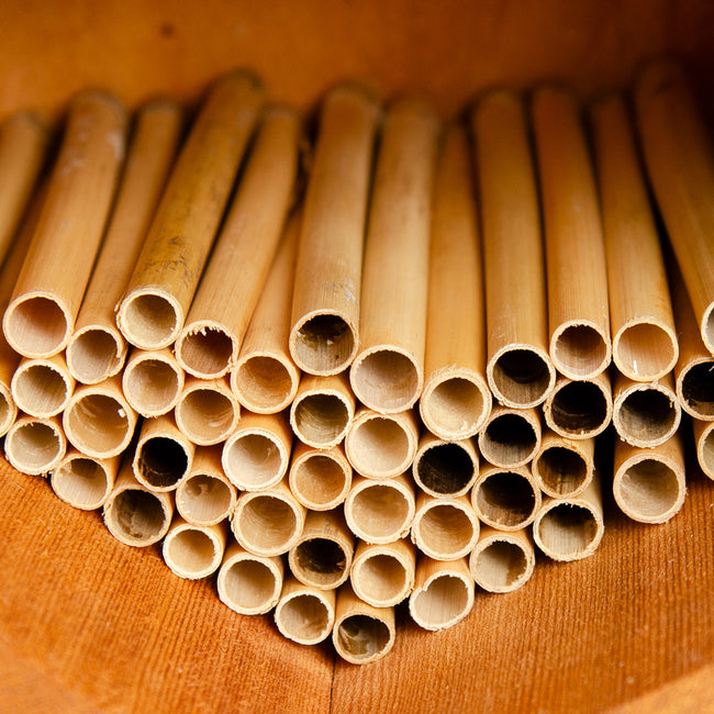 SPRING NATURAL REEDS