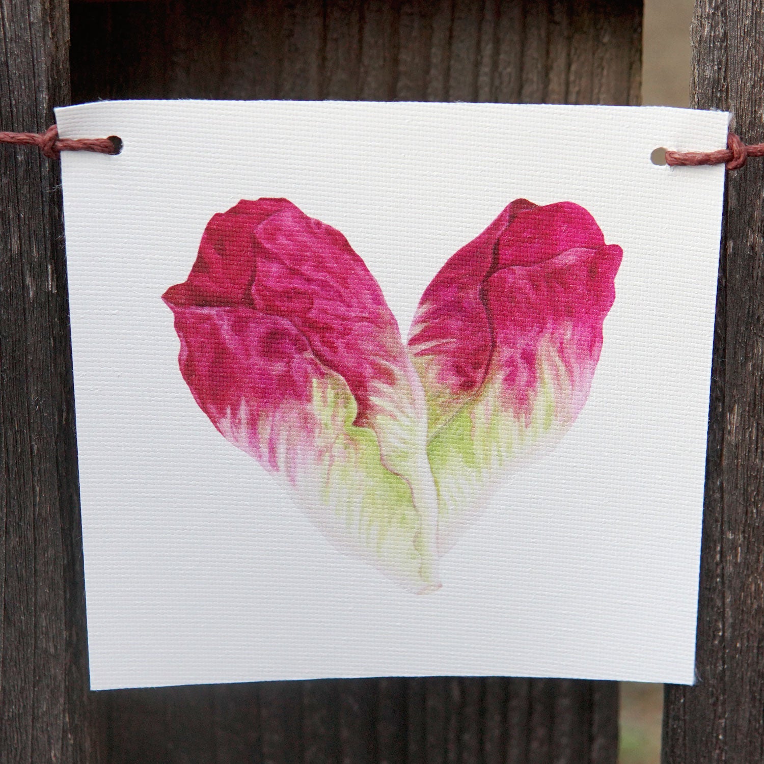 Produce Flags - Thumbnail 5