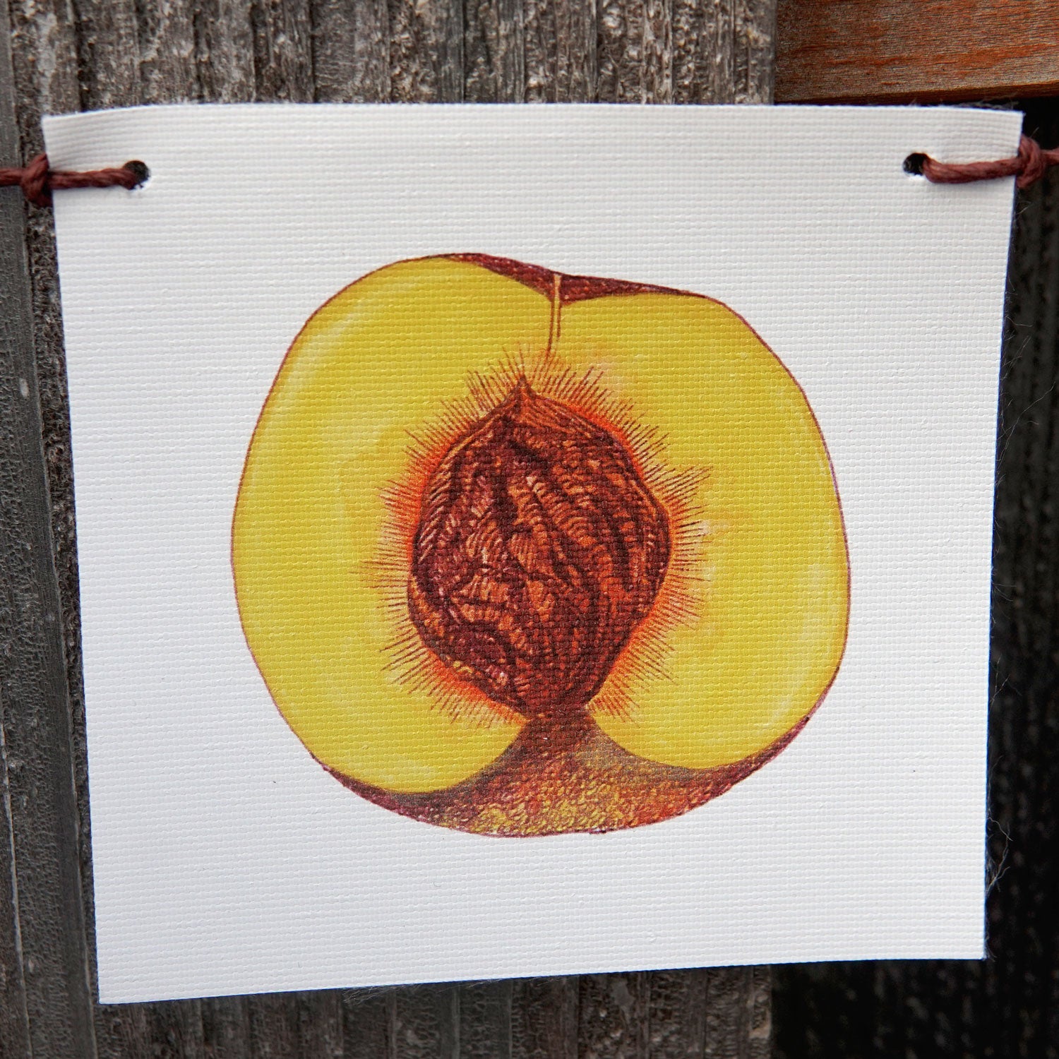 Produce Flags - Thumbnail 2