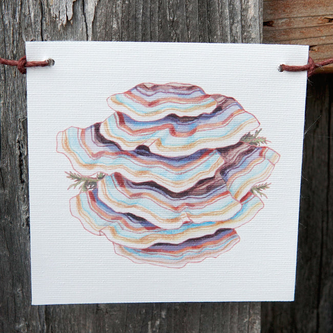 MUSHROOM FLAGS-DECORATIVE ACCESSORY