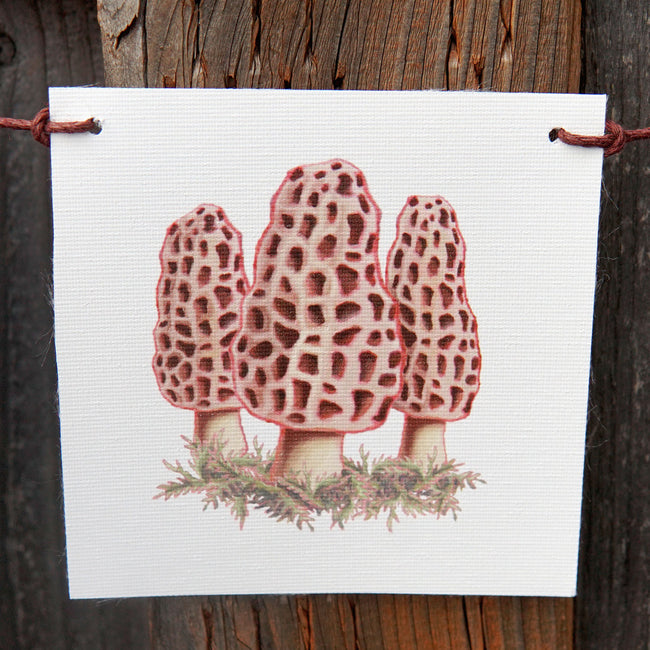 MUSHROOM FLAGS-DECORATIVE ACCESSORY