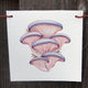 MUSHROOM FLAGS-DECORATIVE ACCESSORY
