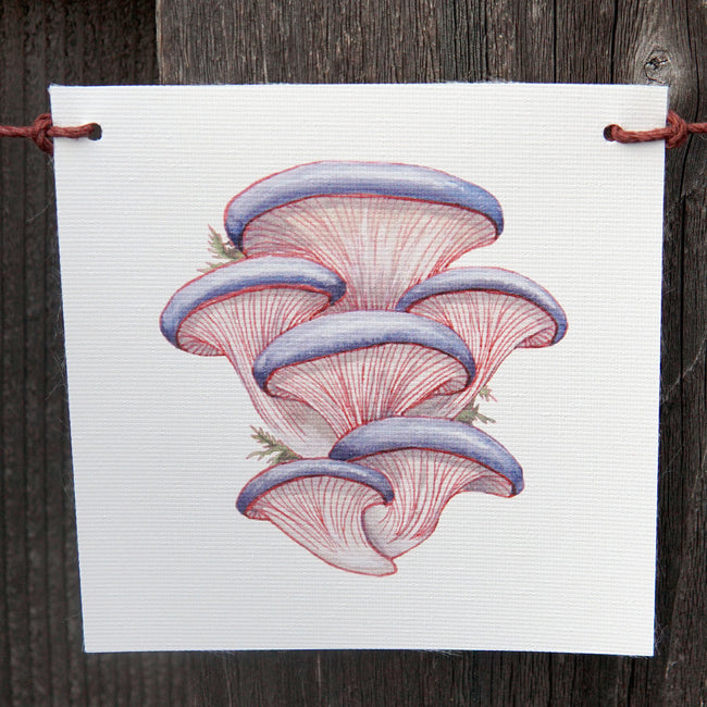 MUSHROOM FLAGS-DECORATIVE ACCESSORY
