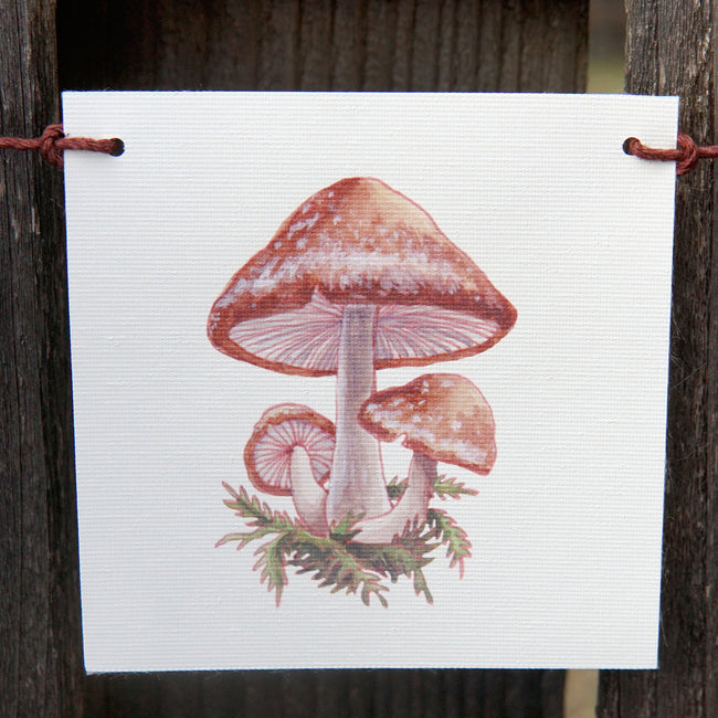 MUSHROOM FLAGS-DECORATIVE ACCESSORY