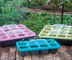 VIZIBLE™ PLANT TRAY-KIT