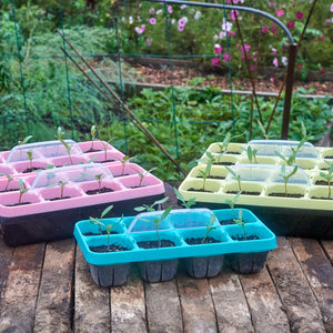 VIZIBLE™ PLANT TRAY-KIT