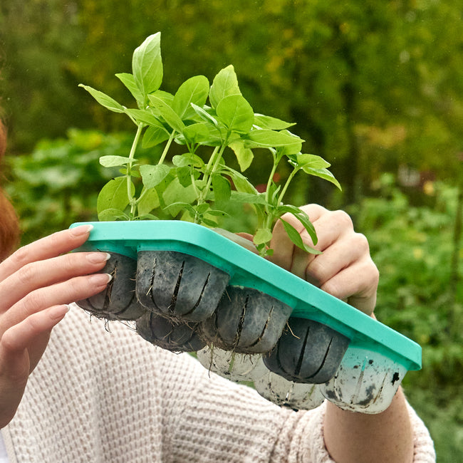 VIZIBLE™ PLANT TRAY