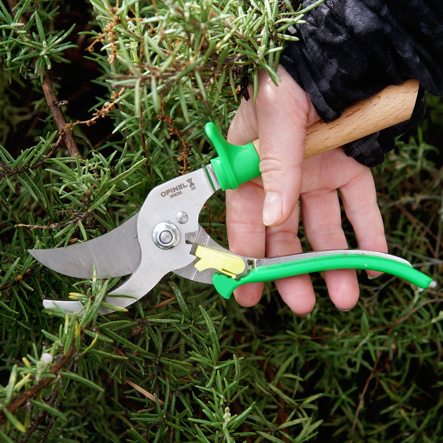 Opinel Hand Pruner | Sharpest Garden Shears | Territorial Seed