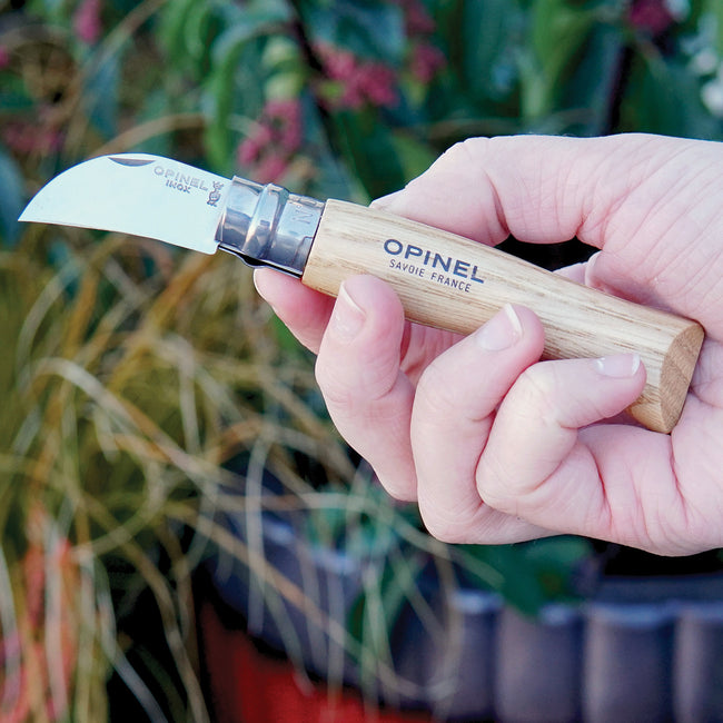 A hand holding an opinel chestnut & garlic knife with garlic and plants in the background