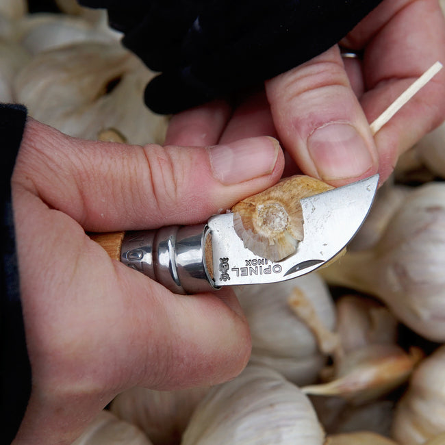 CHESTNUT & GARLIC KNIFE