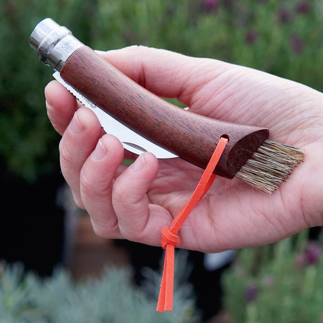 MUSHROOM KNIFE-HARVESTING