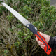 FOLDING SAW 8"-WEEDING/CULTIVATING
