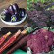 PURPLE POWER SEED COLLECTION-COLLECTION
