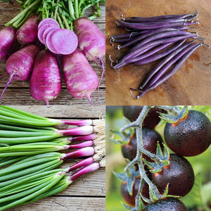 PURPLE POWER SEED COLLECTION-COLLECTION