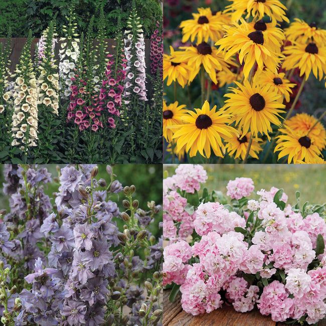 FAVORITE CUTTING FLOWERS-