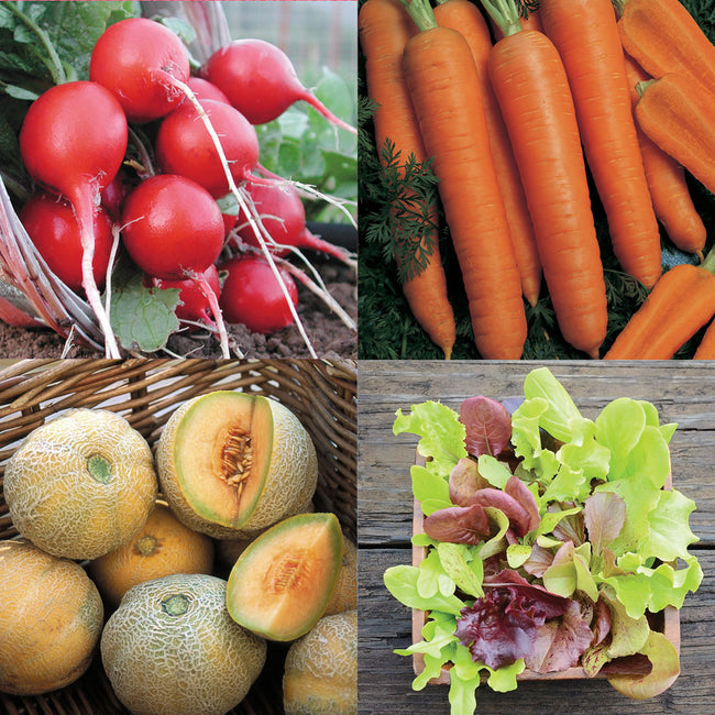 NEW GARDENER SUCCESS STARTER-