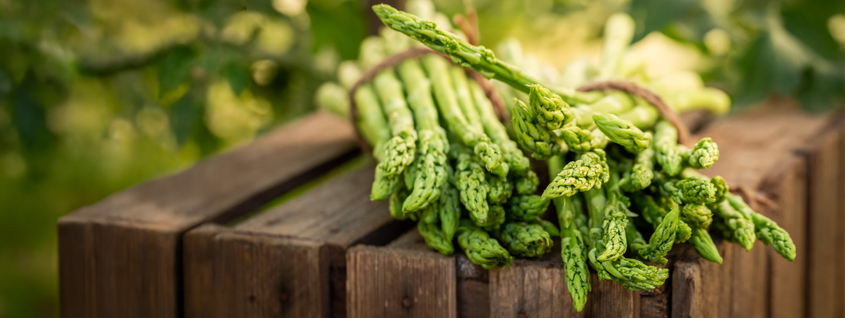 Bunch of green asparagus on a wooden crate with a blurred natural background