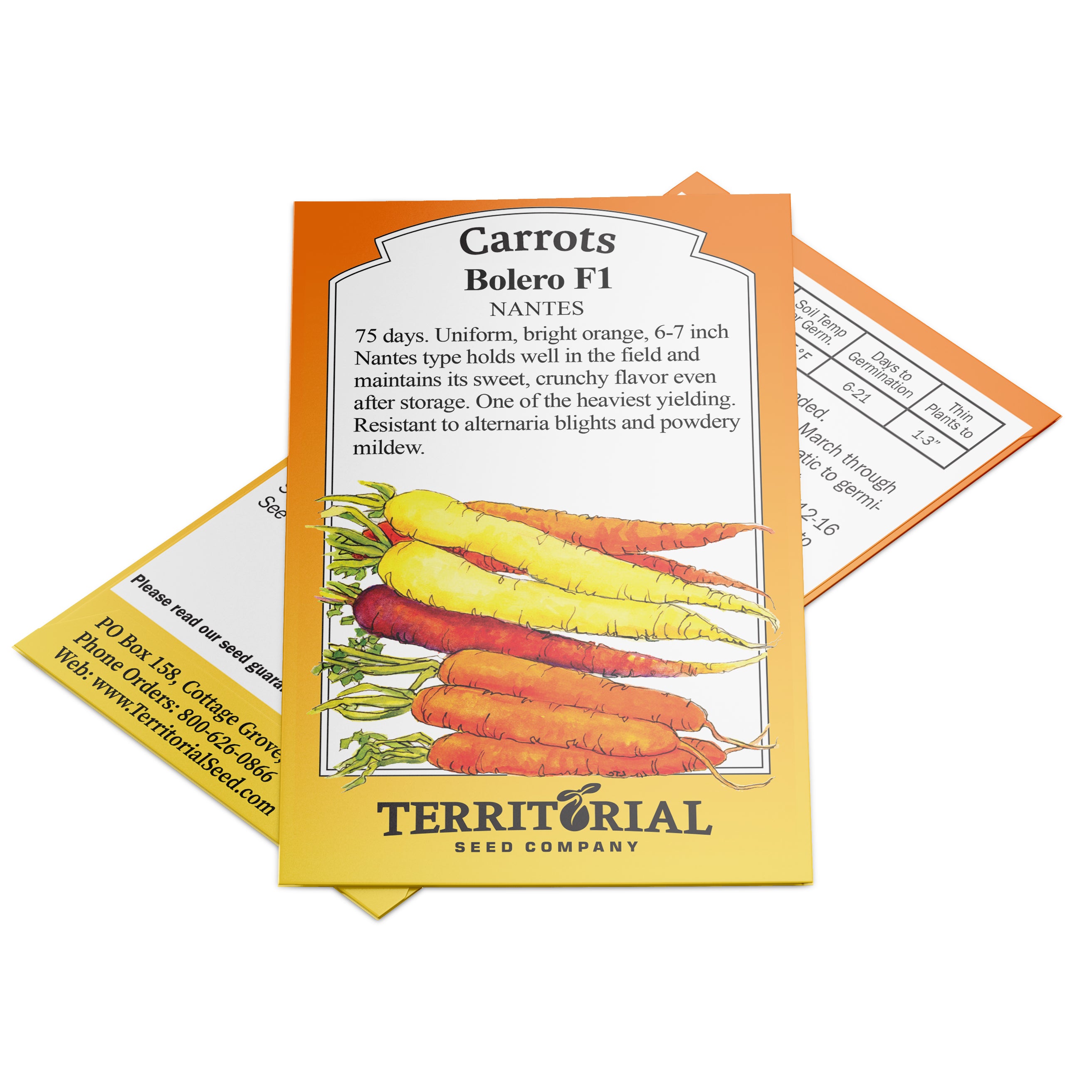 Bolero Carrot - Thumbnail 2