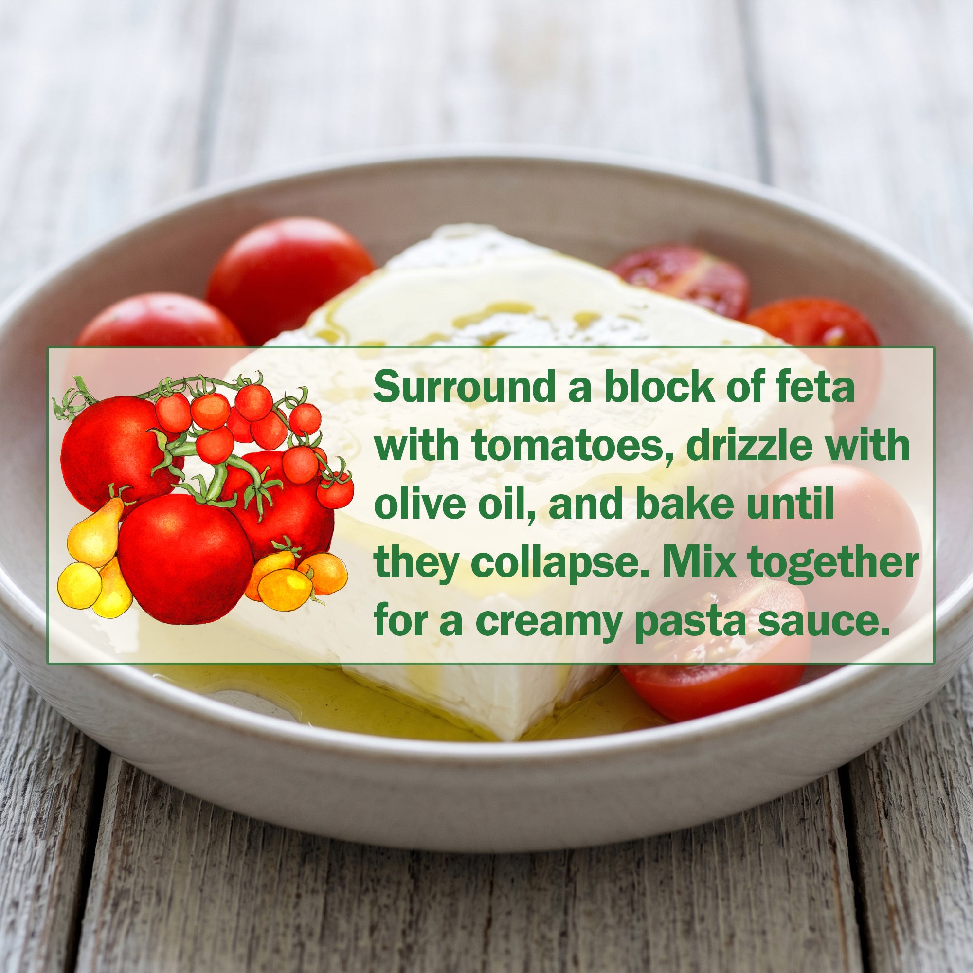 Territorial Seed Company Tomato Seed - Thumbnail 3