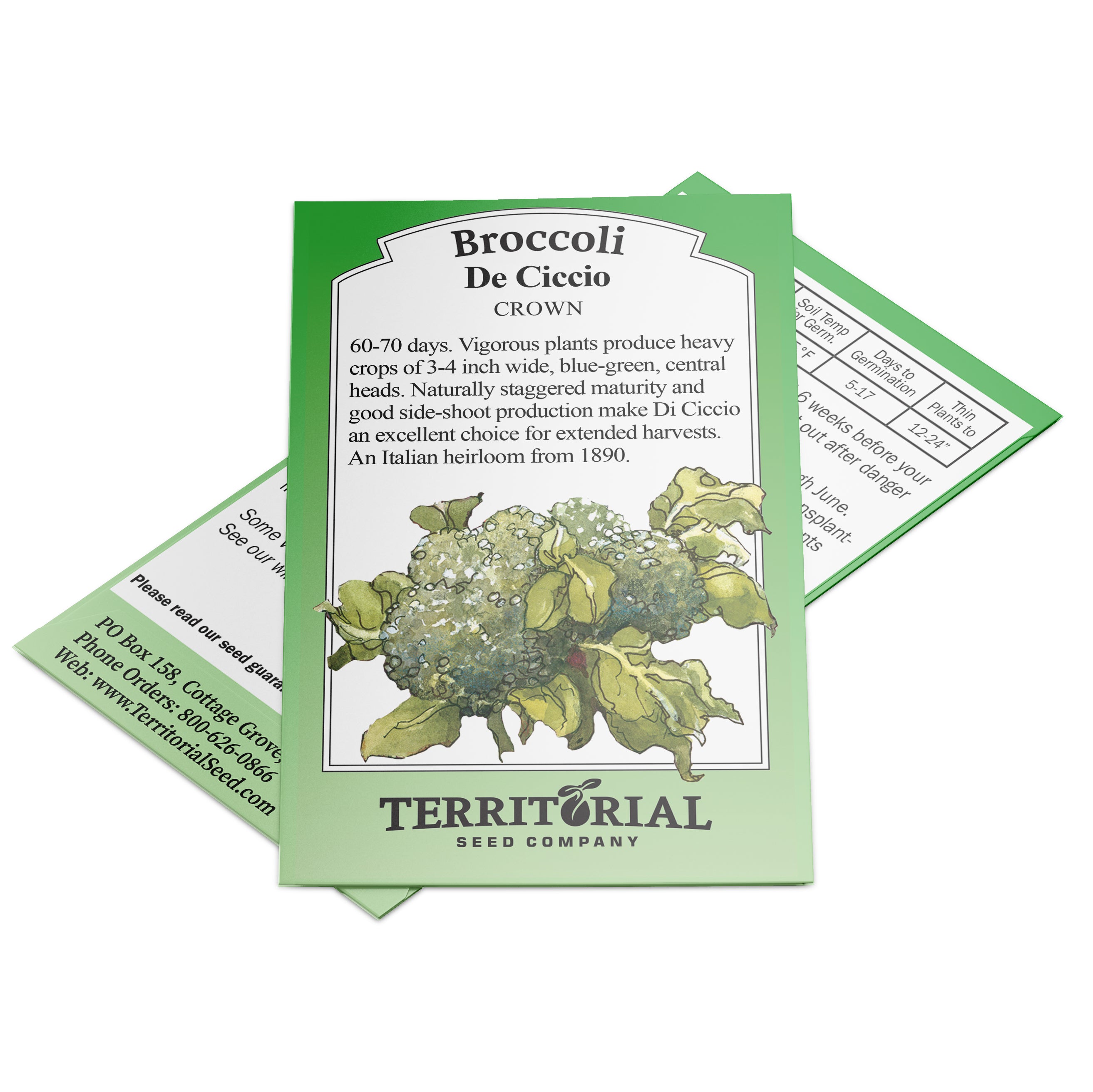 Territorial Seed Company De Ciccio Broccoli Seed - Thumbnail 3