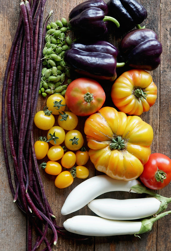 Momotaro Tomato Seed | Territorial Seed