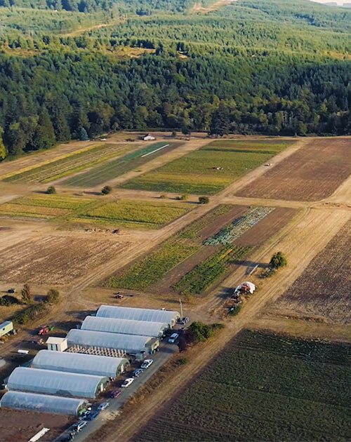 Pro Vegetable Seed Catalog Territorial Seed