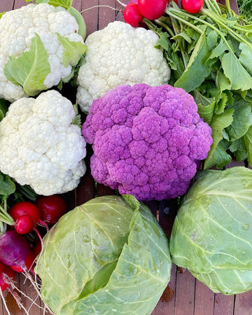 A close-up arrangement of fresh vegetables on a wooden surface, including white and purple cauliflower, green cabbage leaves, red radishes, and leafy greens.