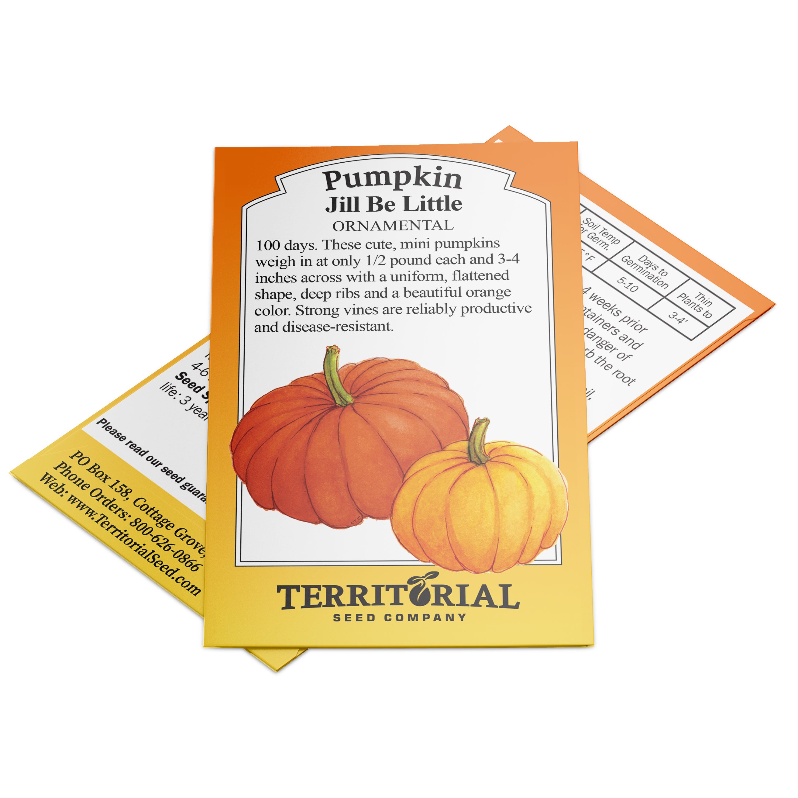 Territorial Seed Company Jill Be Little Pumpkin - Thumbnail 2