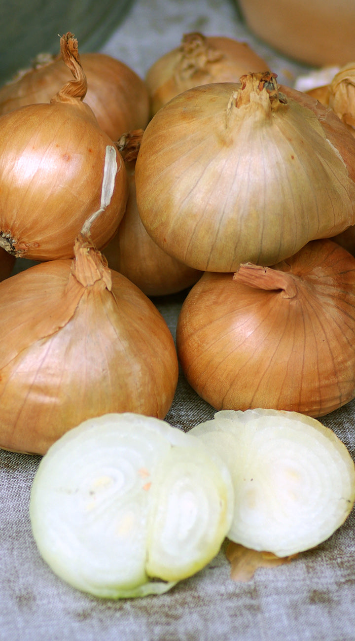 Walla Walla Plants Onion