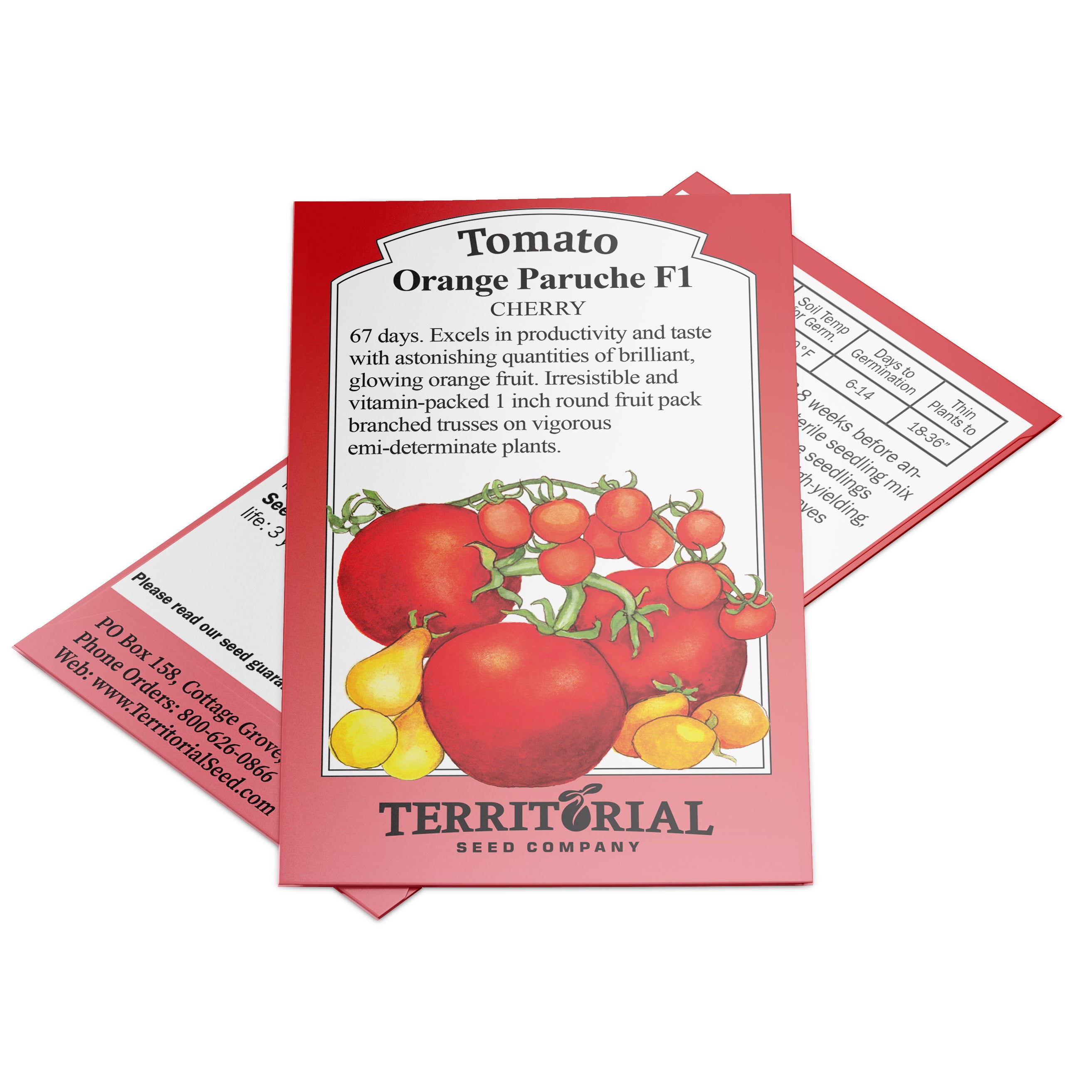 Orange Paruche Tomato