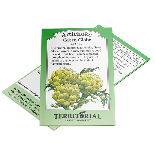 GREEN GLOBE-ARTICHOKE