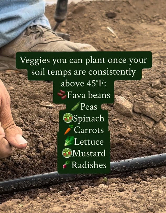 Person planting seeds in soil with a list of vegetables to plant above.