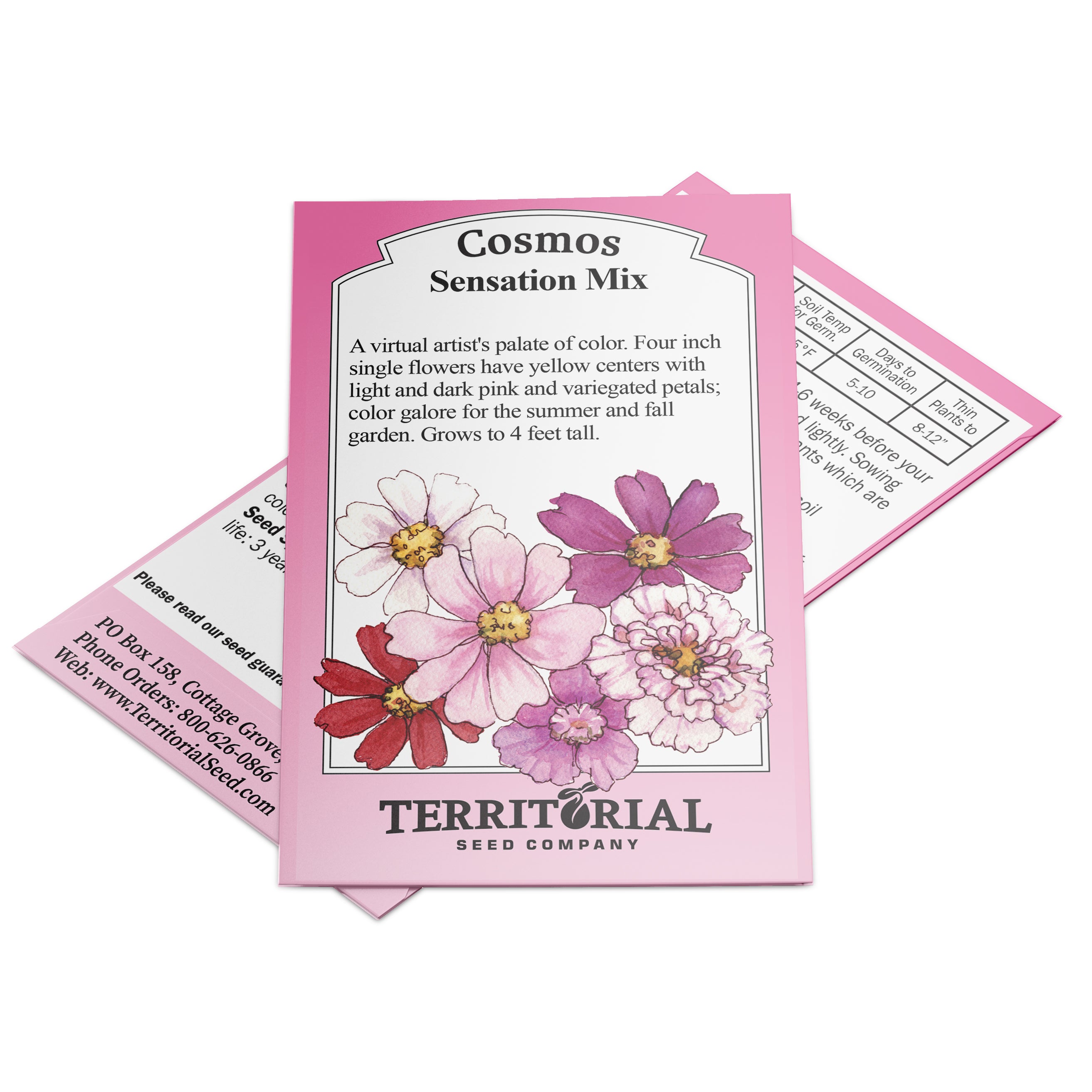 Territorial Seed Company Sensation Mix Cosmos - Thumbnail 2
