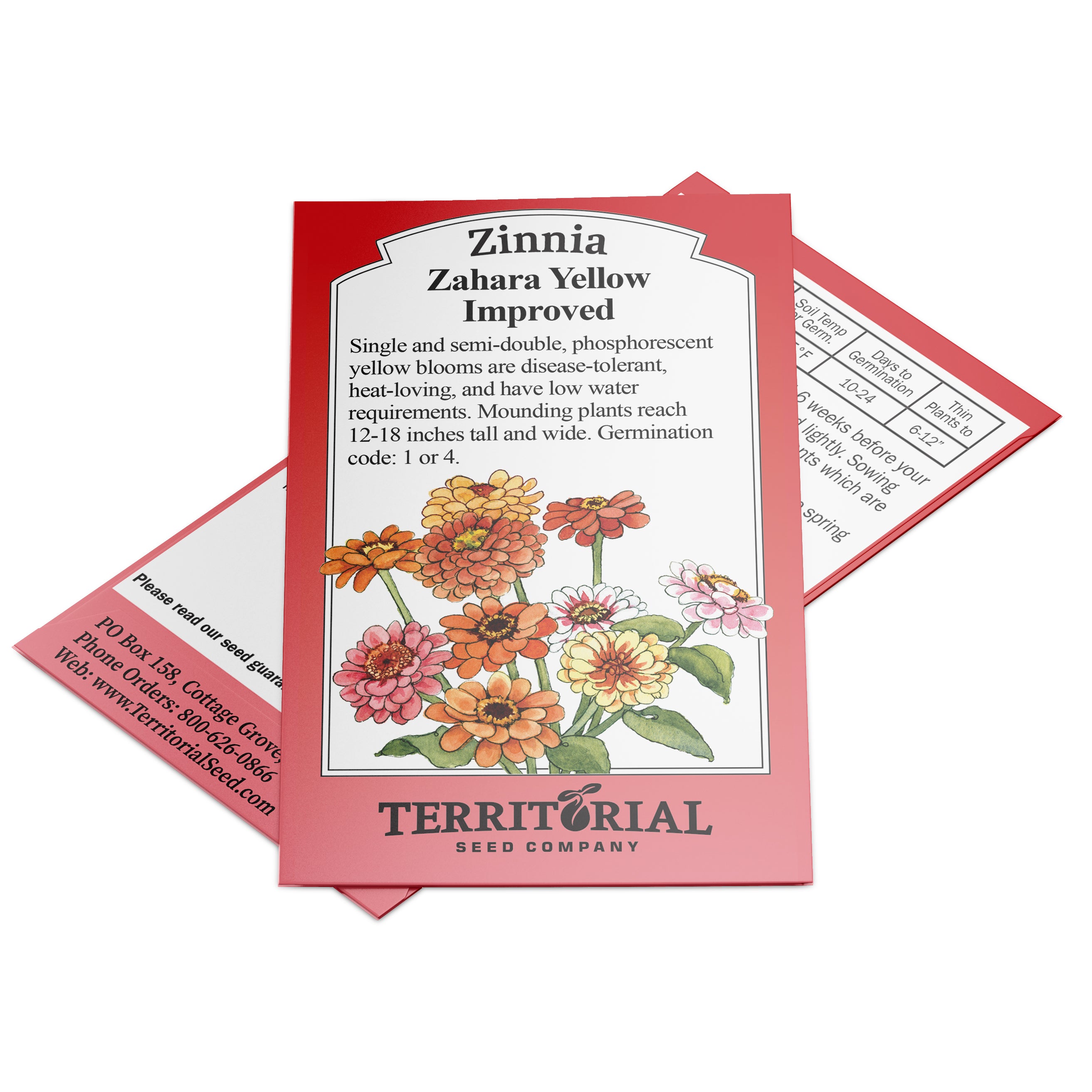 Zinnia Zahara Yellow Improved - Thumbnail 2