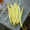 Close-up of Carson wax bean pods showcasing slender yellow pods on a weathered wood background