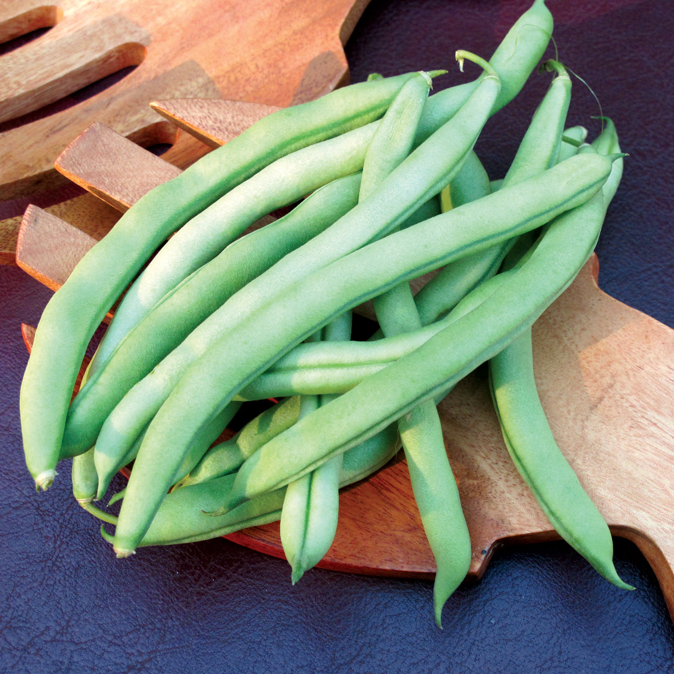 Territorial Seed Company Blue Lake Pole Bean - Thumbnail 2