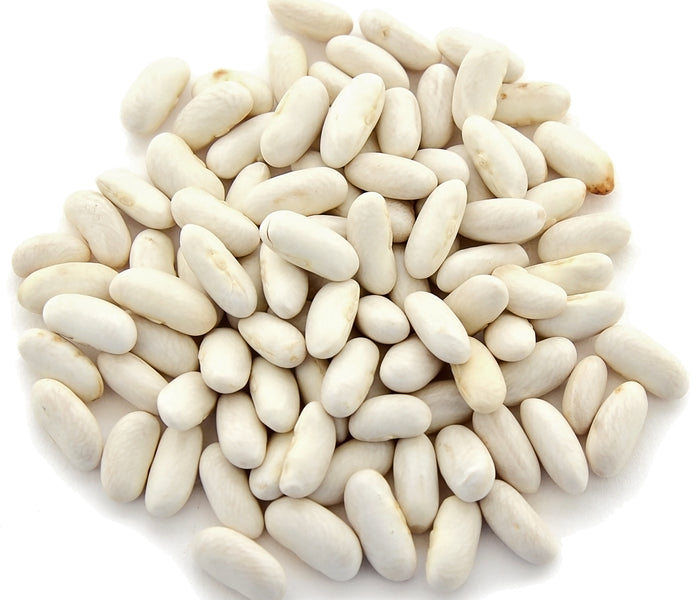 CANNELLINI LINGOT-BEAN