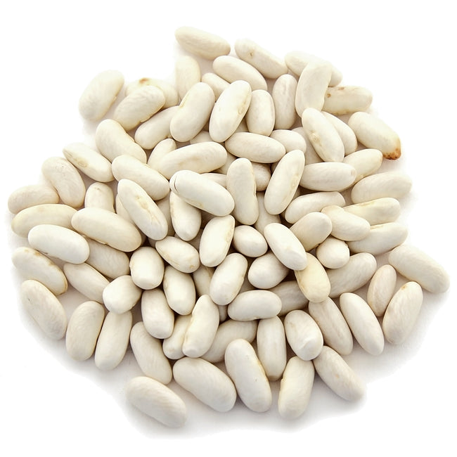 CANNELLINI LINGOT-BEAN