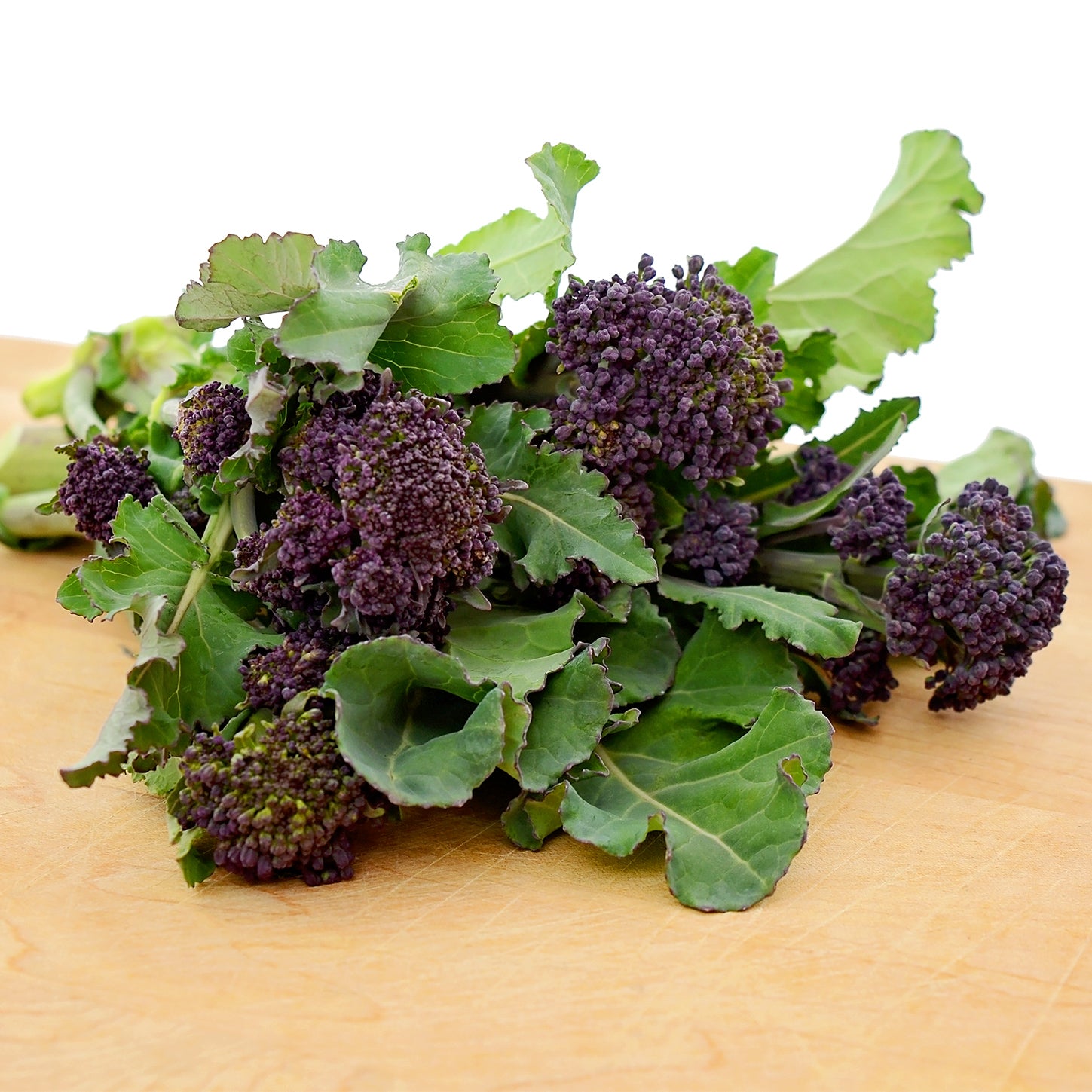 Territorial Seed Company Rudolph Broccoli Seed - Thumbnail 2
