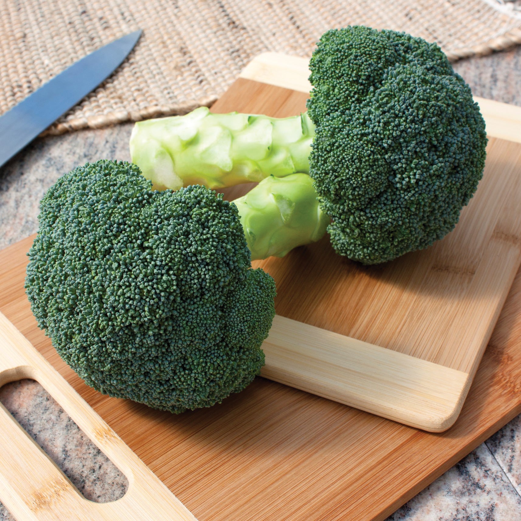 Diamond Broccoli Millennium Broccoli Seed | SEED / 10,000 seeds | Territorial Seed