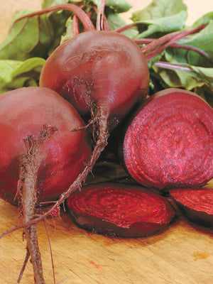 EARLY WONDER TALL TOP-BEET