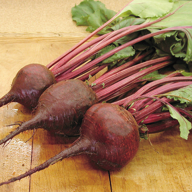 LUTZ GREEN LEAF-BEET