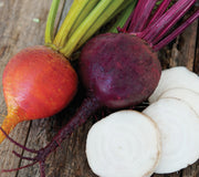 AUTUMN HARVEST BLEND-BEET