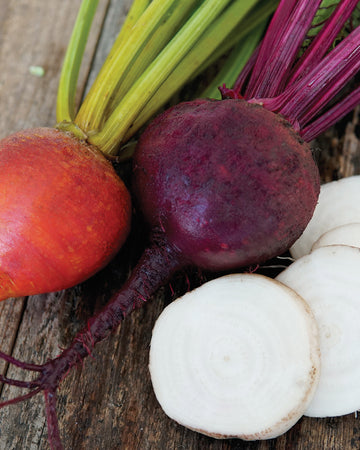 AUTUMN HARVEST BLEND-BEET